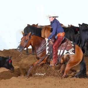 Meet your Posher, Erica